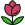 Живые цветы