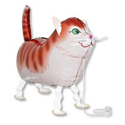 Шар ходячий Кот