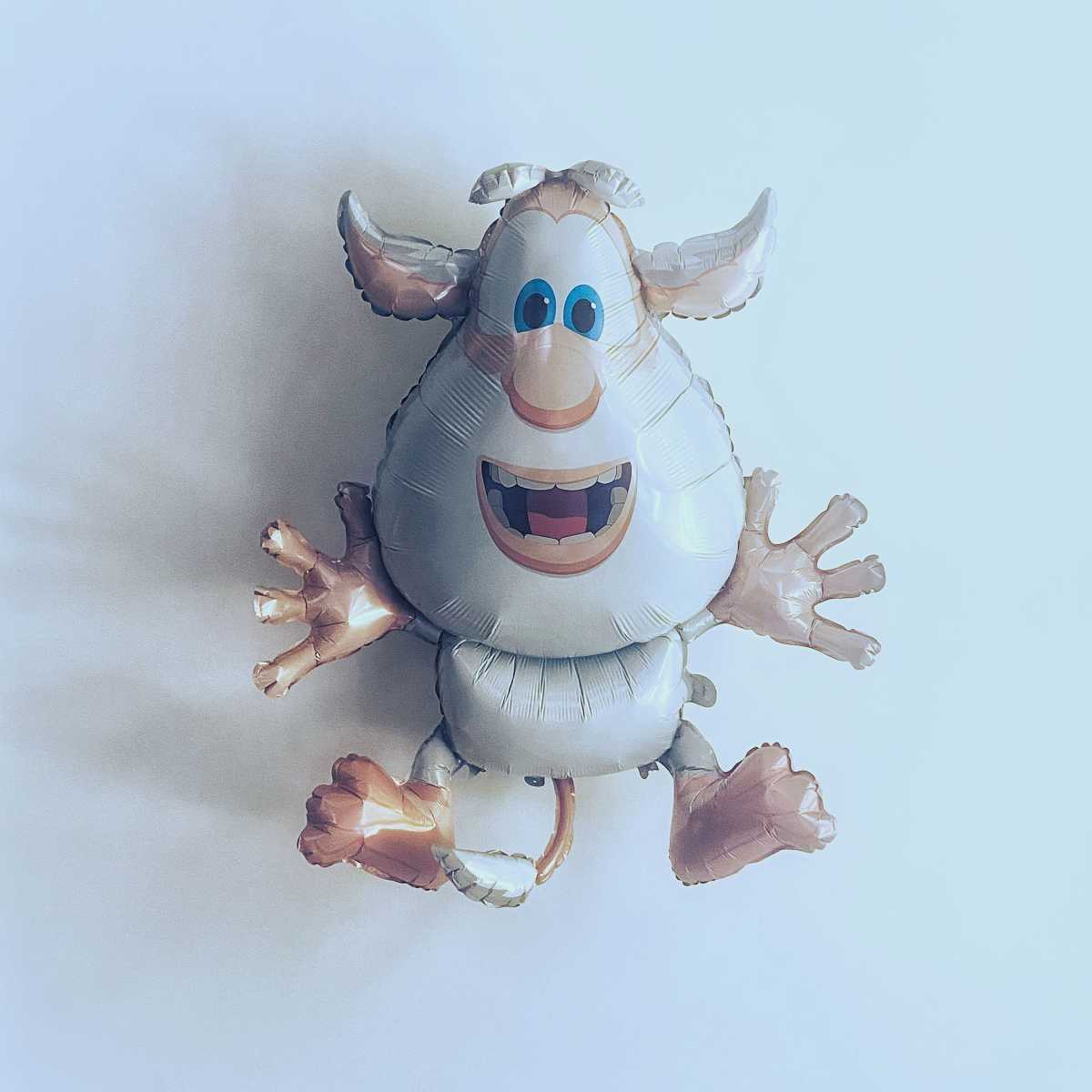 Шар 18 Круг БУБА