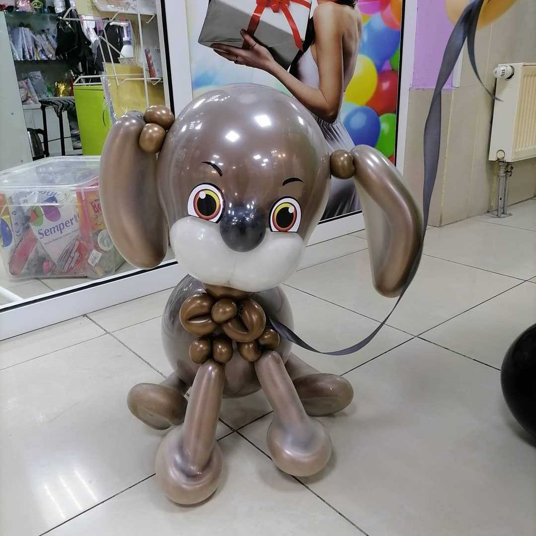 Милая собачка