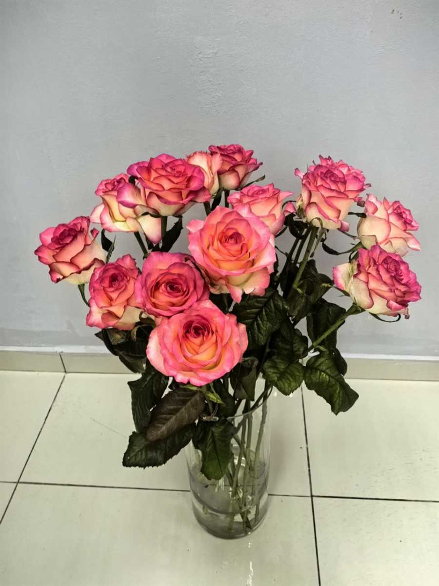Розовые розы ( цена за 1 ветку)