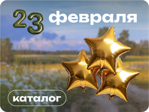 23 февраля воздушные шары
